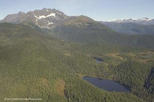 Slate Lake in the Tongass National Forest. Photo: Sierra Club. 