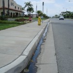 Run-off traveling to the storm drain outside Great LA Vector Control District office, June 16, 2009, 1pm