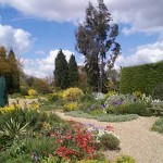 Beth Chatto's Gravel Garden. Click on image to go to Chatto's website.
