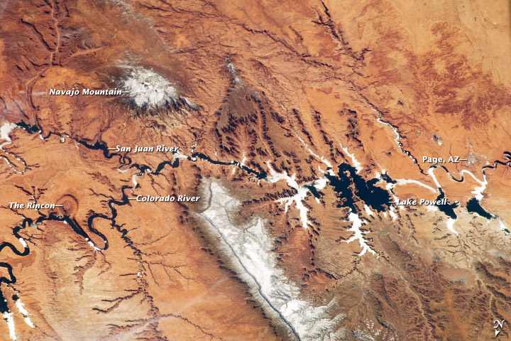 Colorado River and Lake Powell, March 12, 2013. Source: NASA's Earth Observatory