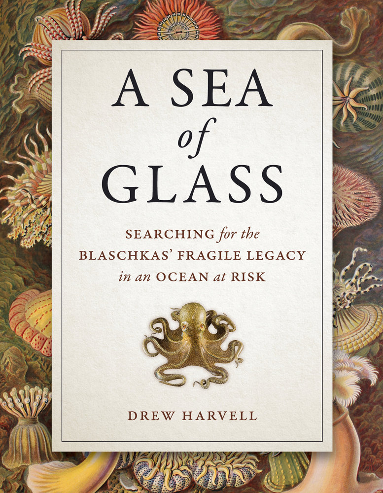Click on the octopus to learn about Drew Harvell's book, "A Sea of Glass," which will be published in March by UC Press.